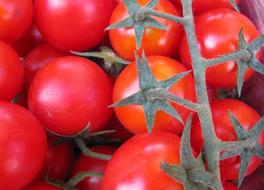 Tomatoes Red Vegetables