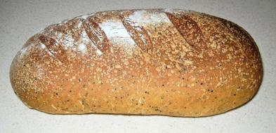 fresh baked goods crispy delicious