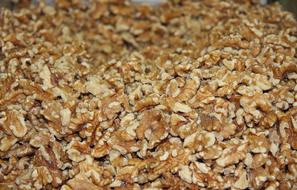 Walnut Kernel Nuts