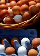 Eggs Box Close up