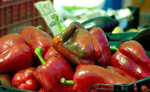 red peppers in plate