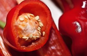 Paprika Fruit The Inside Of