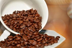 Coffee Beans Roasted macro blur