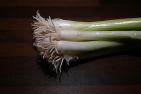 leek roots white