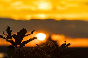The Sun Sunset West
