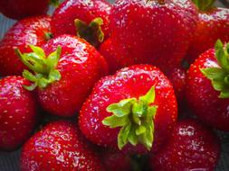 juicy berries
