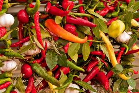 Vegetables Bazaar