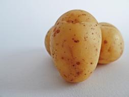 Potatoes Vegetables Field