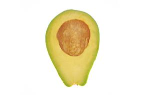 Avocado Vegetable Fruit