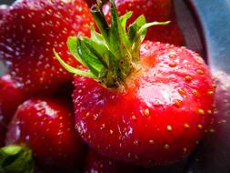 Strawberries Fruit Strawberry