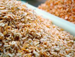 Dried Shrimps Seafood Flavors