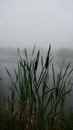 Mood Fog Morning Hour