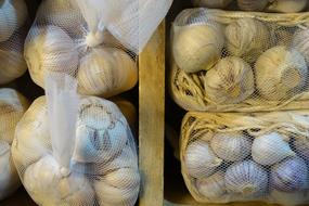 culinary garlic