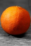 Orange Fruit Color