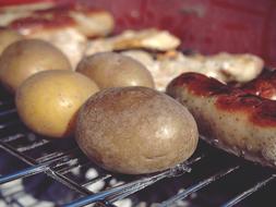 Grill Party Barbecue Fire