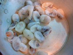 Silkworm cocoons in a bucket