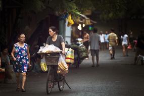 vendor with Food on Street Market, Vietnam, Hanoi