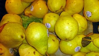 Lots of beautiful yellow pears