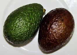 ripe avacado fruit