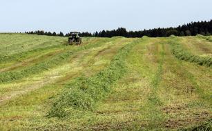 green field farming