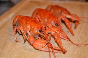 Cancer Boiled Lobster