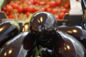 Eggplant Vegetables Solanum