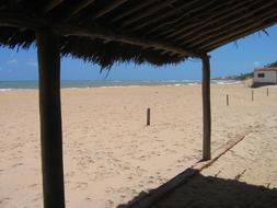 Nature Paradise Brazilian