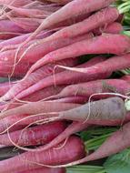 long radish, pile of purple root vegetables