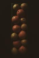 citrus fruits in flask
