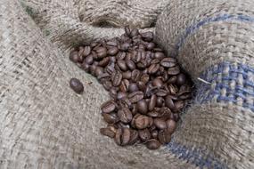 brown coffee beans aromatic