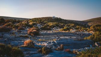 Dunes with vegetation at dusk