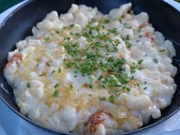 Cheese Noodles Eat Court