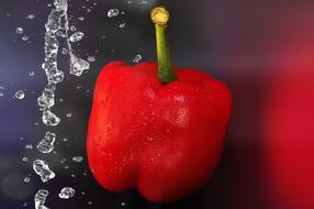 Paprika Red Pepper