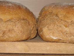 crispy loaf appetizer