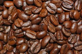 Coffee Beans Aroma