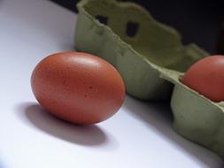 raw egg by the box