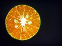 Orange Fruit Slice