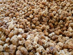 Brown Mulberries