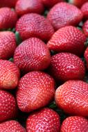 Strawberries Fruit Red