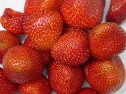 Strawberries Fruity Red