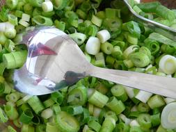 sliced vegetables onions