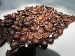 coffee beans on the table