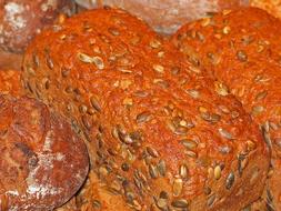 Bread Baker Bake
