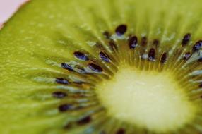 Kiwi Fruit Healthy