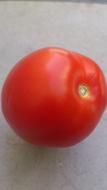 One red tomato