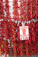 red chili pepper hot