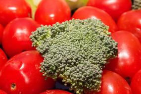 broccoli on tomatoes