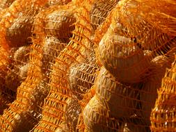 Potatoes Sack Vegetables