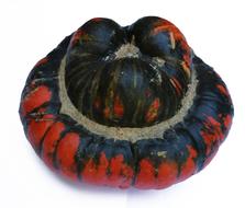 Pumpkin Fall Gourd