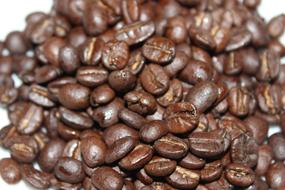 Coffee Beans B